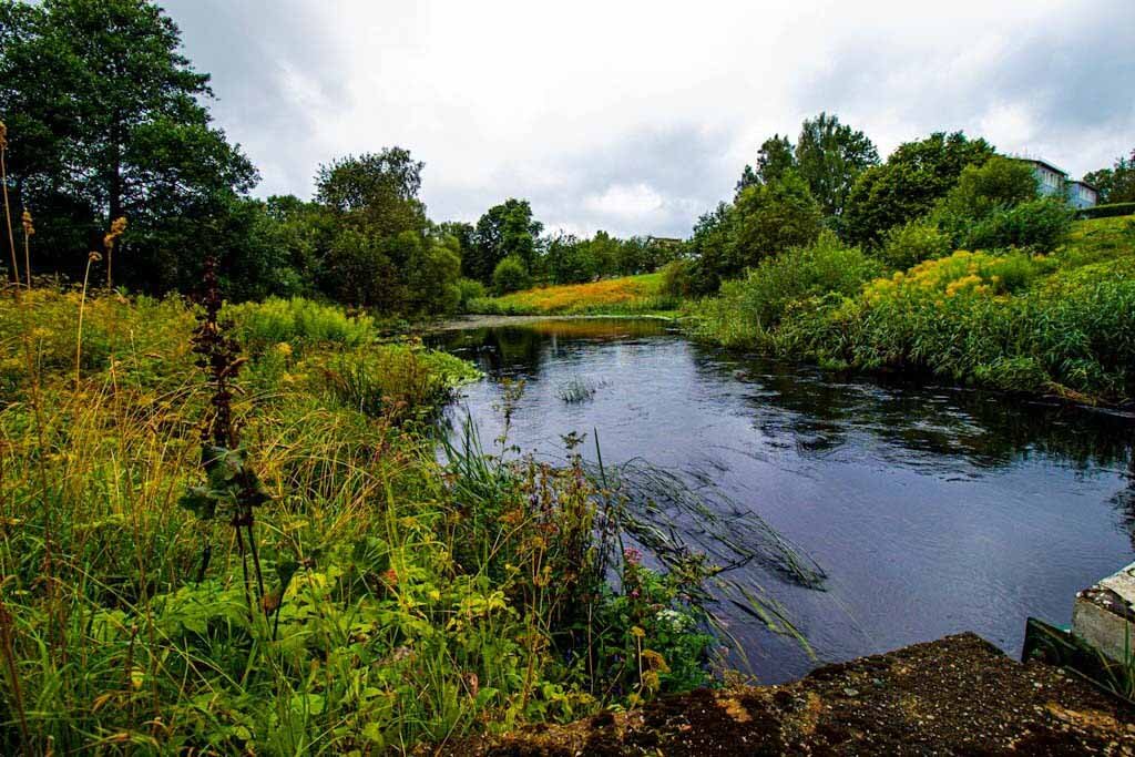 Б/Н - Николай 