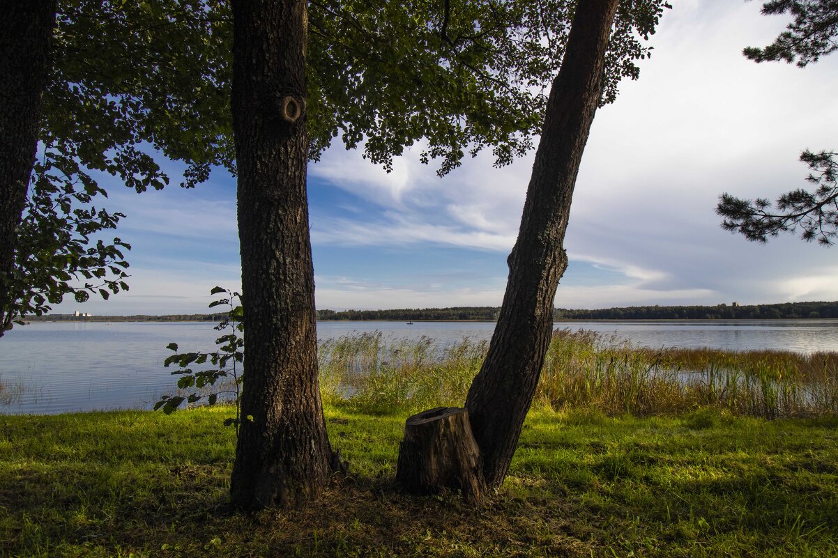 Б/Н - Николай Б/Н - Николай