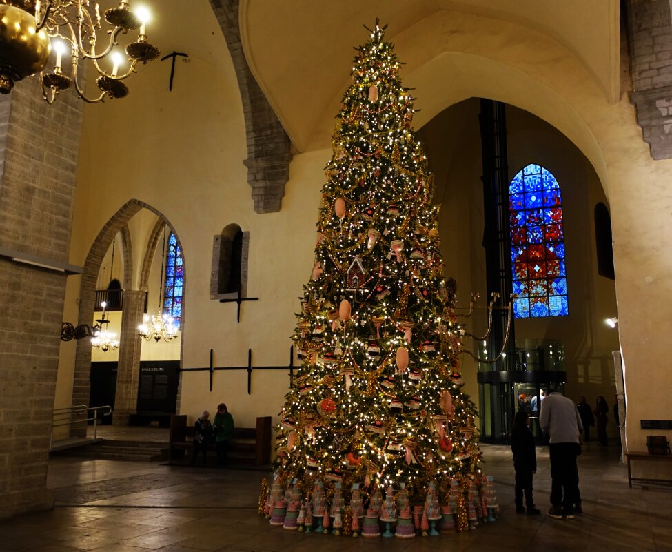 Новогодняя ель в Нигулисте - Aida10 Новогодняя ель в Нигулисте - Aida10