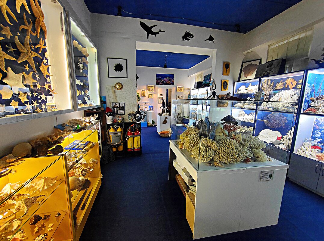 Палеонтологический музей Валентина Вербицкого - Виктор Мухин Палеонтологический музей Валентина Вербицкого - Виктор Мухин