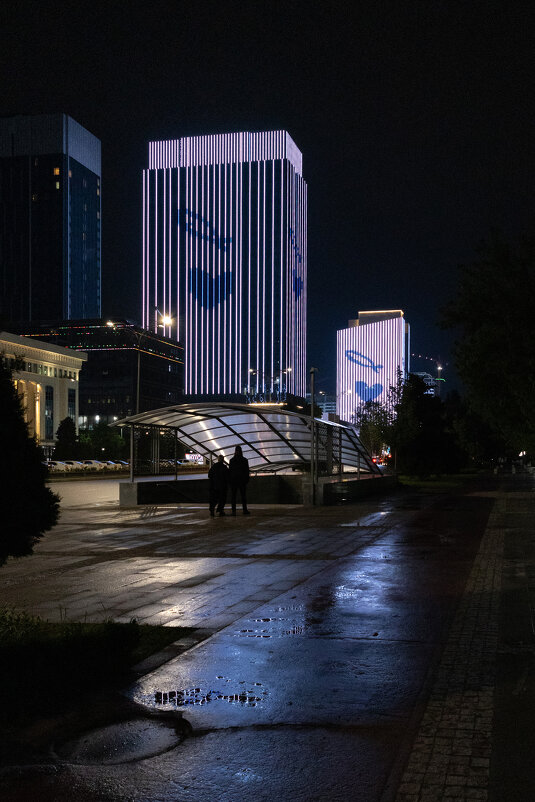 * - Светлана Воробьева