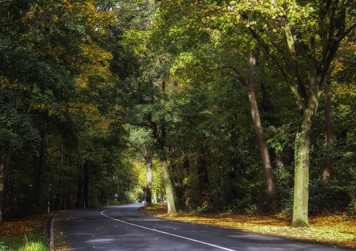 Дорога - Андроник Александр 