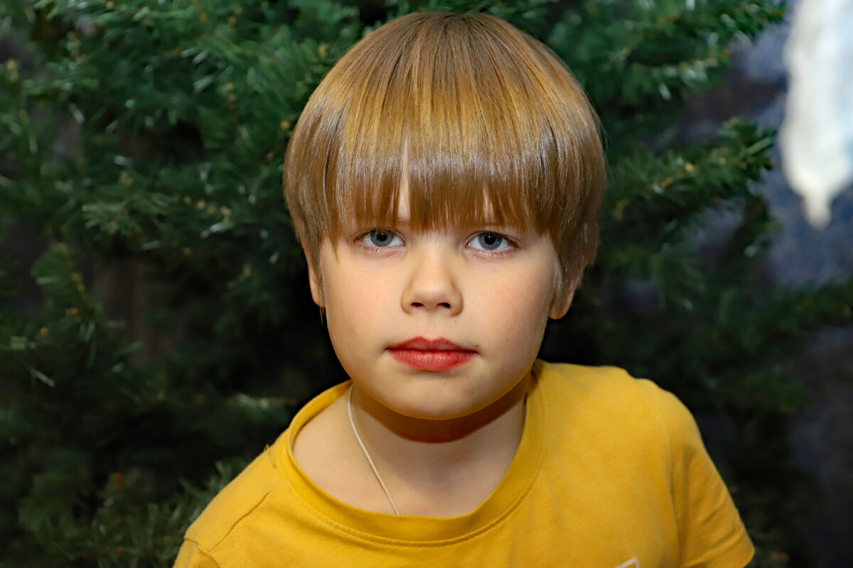 Мишка - краснов юрий Мишка - краснов юрий