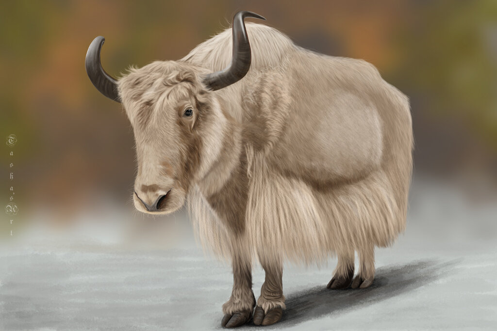 Белый тибетский як - Наталия Львова