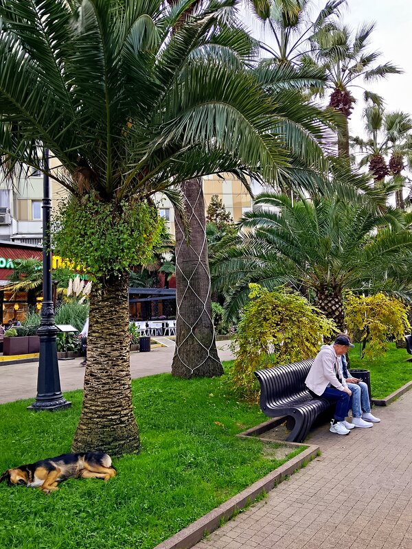 Прогулка по городу - Tata Wolf Прогулка по городу - Tata Wolf