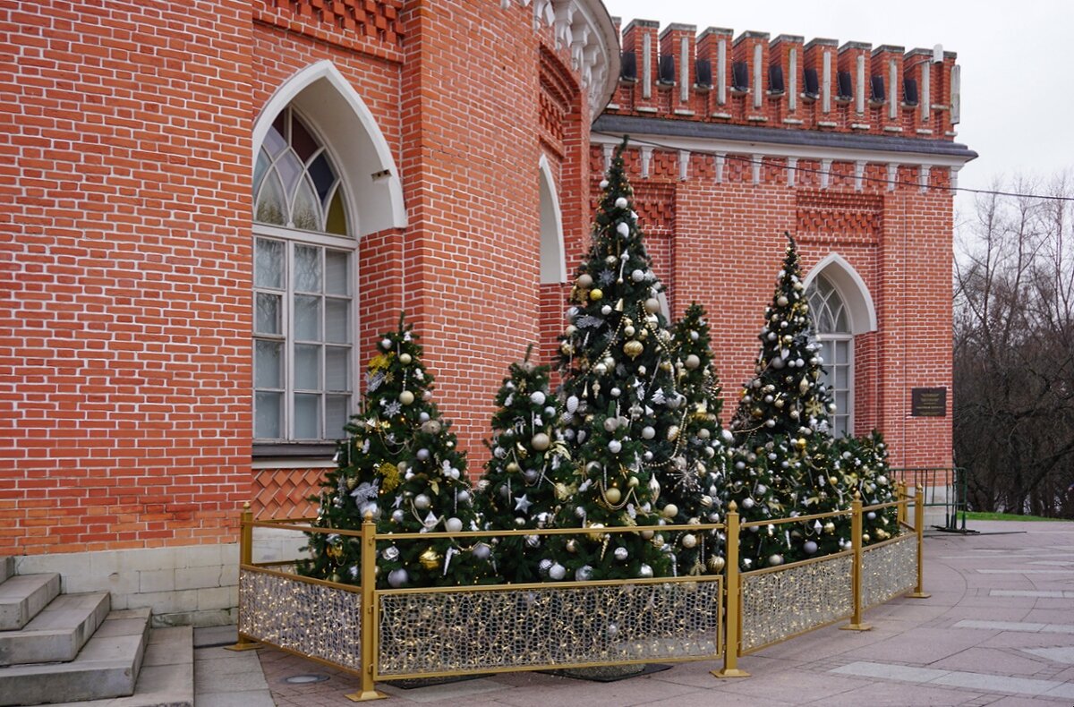 Декабрь в Царицыно - Ольга Декабрь в Царицыно - Ольга