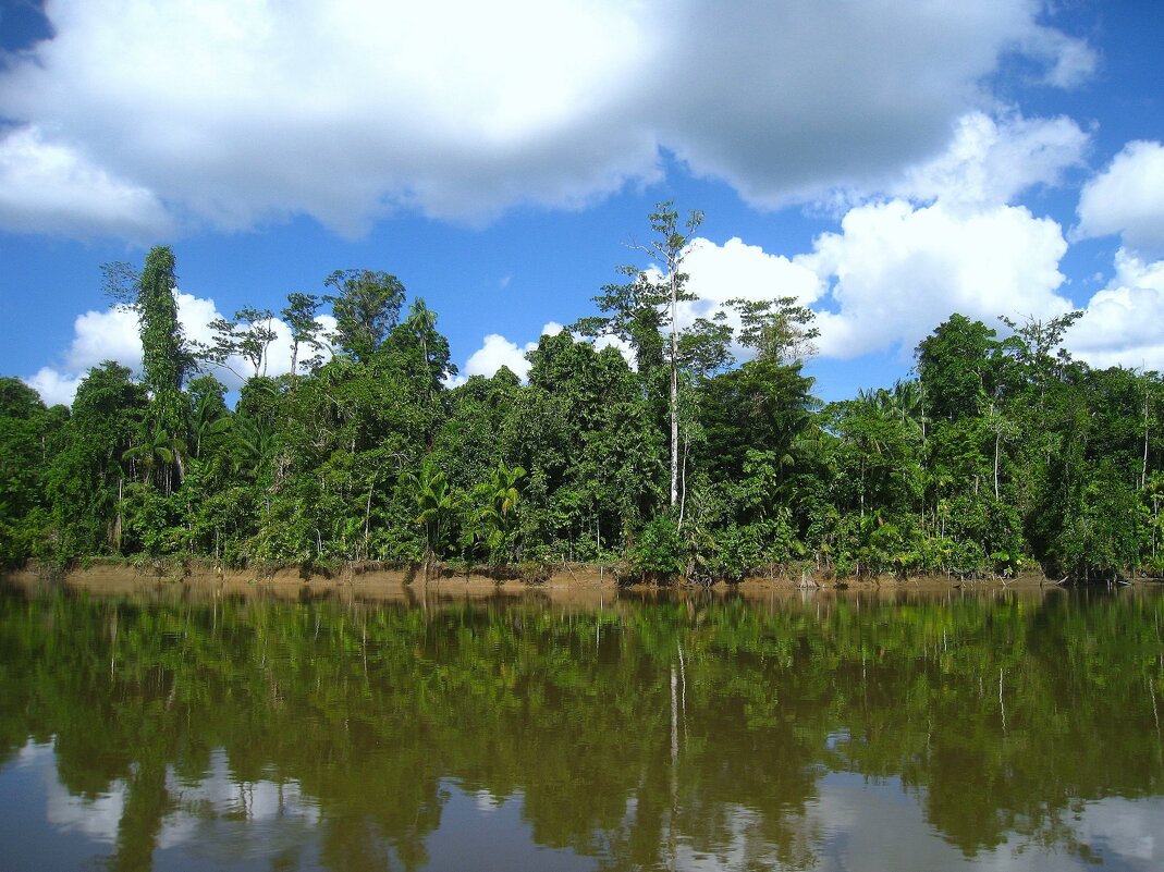 Кусочек Папуа-Новой Гвинеи. - unix (Илья Утропов) Кусочек Папуа-Новой Гвинеи. - unix (Илья Утропов)