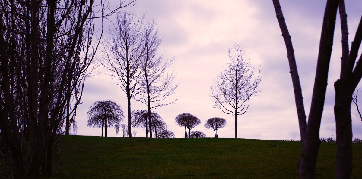 Парковый пейзаж. - Юрий Полторыхин. Парковый пейзаж. - Юрий Полторыхин.