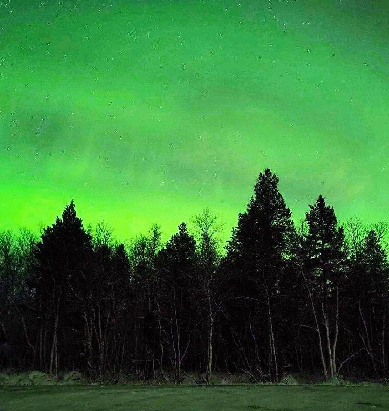 Север... - Георгиевич 