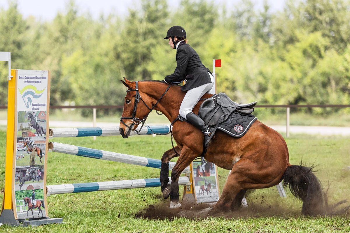 Конкур закидка - SanSan 