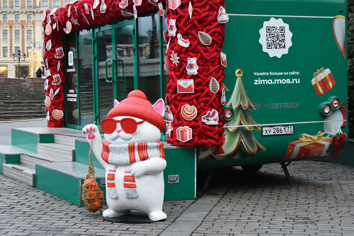 Предновогодняя Москва. - Наташа *****