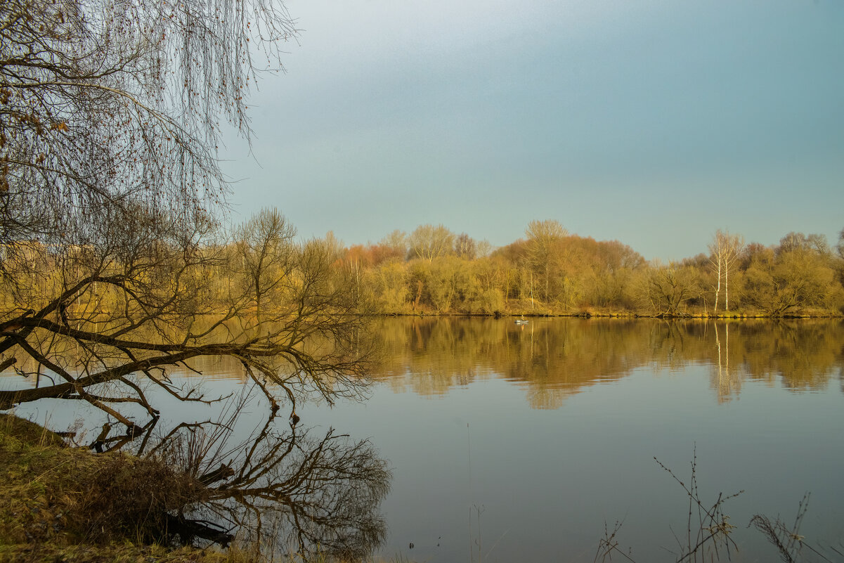 Рыбачок. - Николай Рыбачок. - Николай