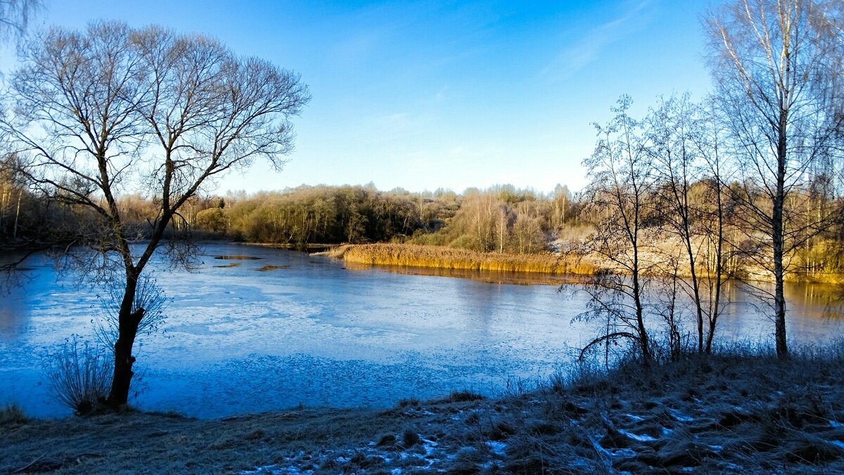 Осень в ноябре. - Милешкин Владимир Алексеевич Осень в ноябре. - Милешкин Владимир Алексеевич