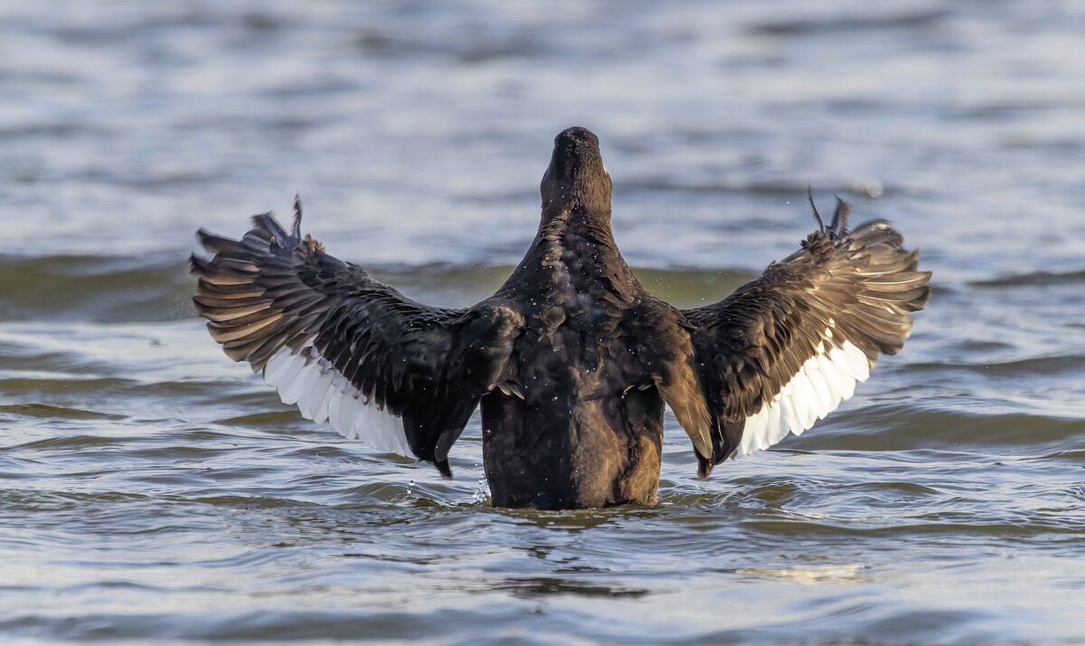 турпан. - юрий макаров турпан. - юрий макаров
