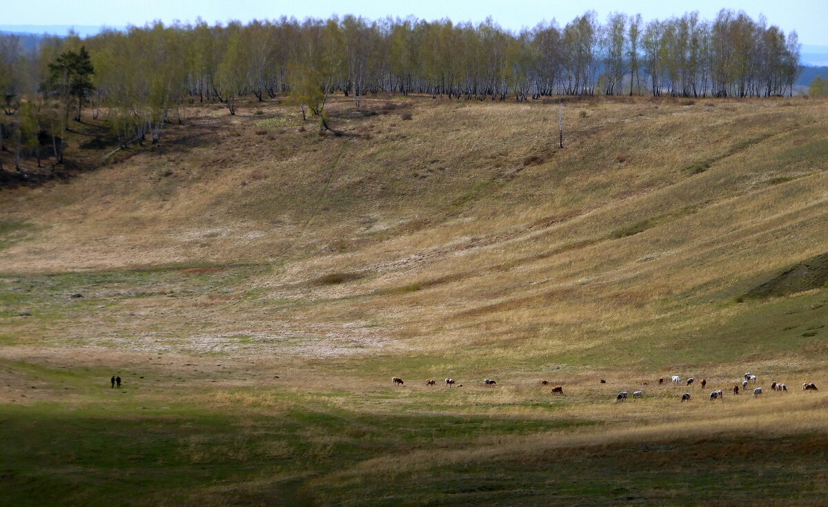Необъятные просторы. - nadyasilyuk Вознюк Необъятные просторы. - nadyasilyuk Вознюк