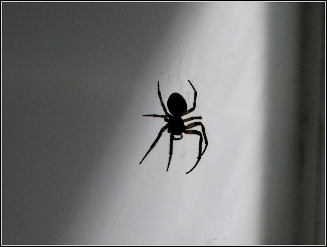 Полночный гость. - Егор Бабанов Полночный гость. - Егор Бабанов