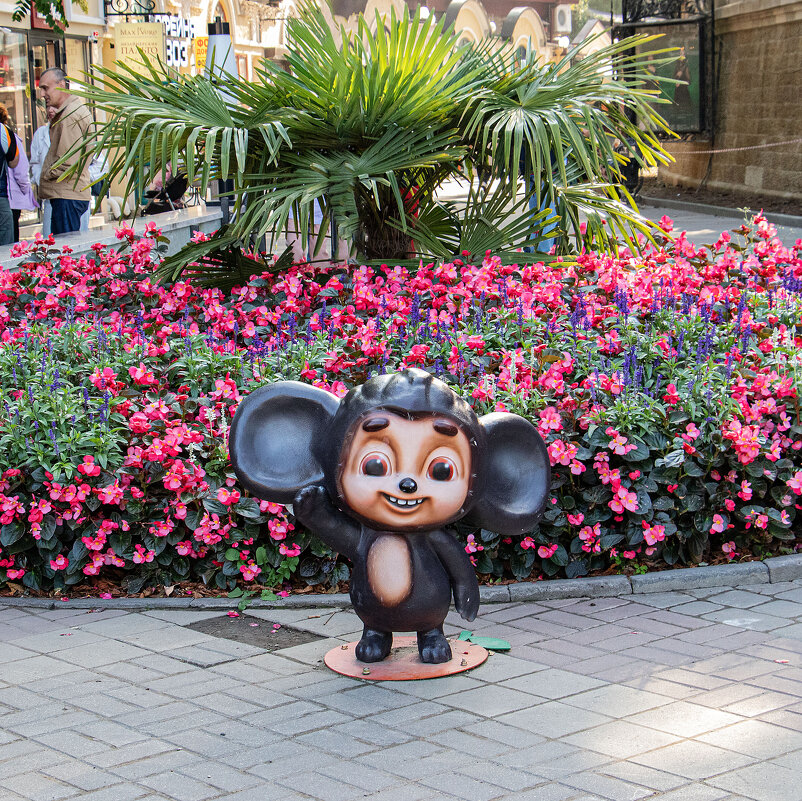 чебурашка в Кисловодске - navalon M