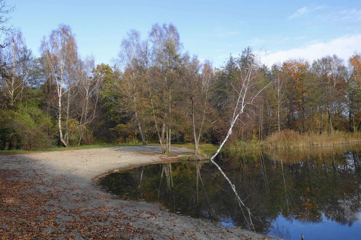 Ноябрь - Рита Симонова