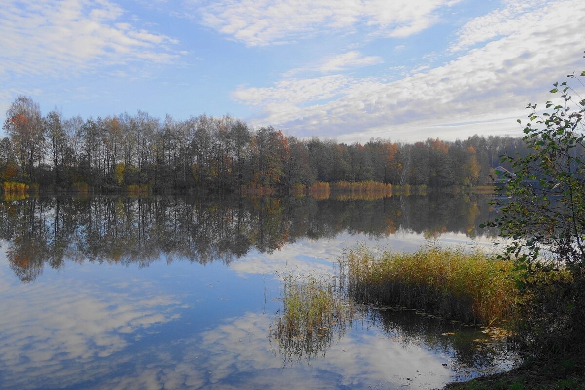Ноябрь - Рита Симонова Ноябрь - Рита Симонова