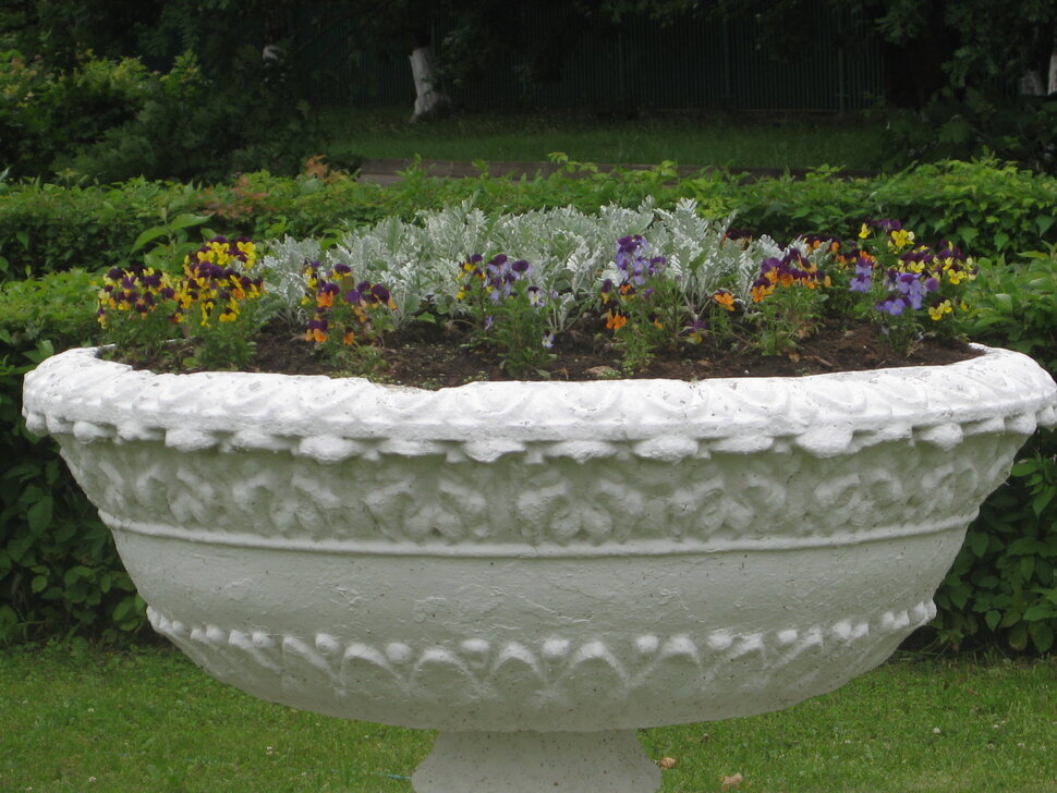 Цветы лета - Дмитрий Никитин