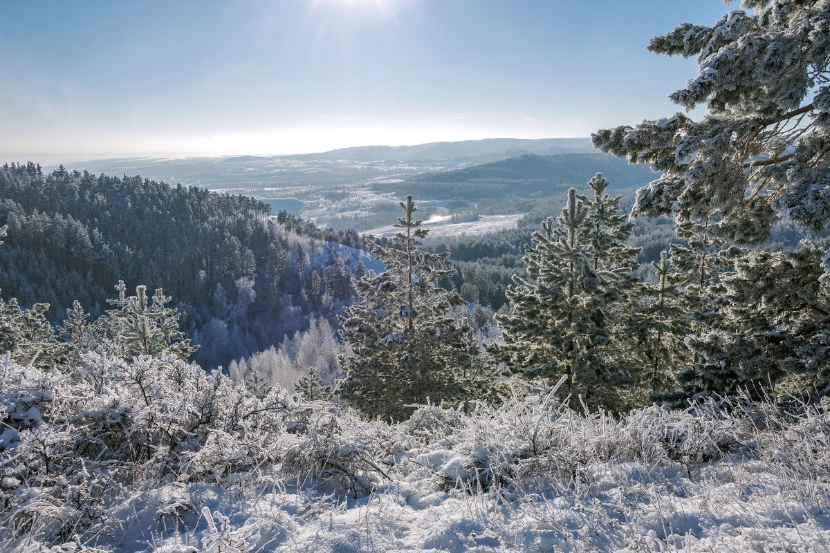 Чудеса зимней природы - Наталья Димова