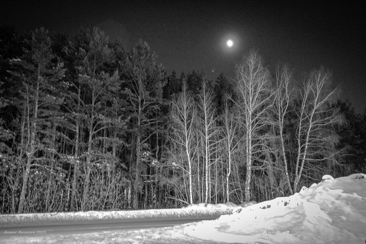 А за дорогой - страшный лес ночной! - Борис Яковлев А за дорогой - страшный лес ночной! - Борис Яковлев