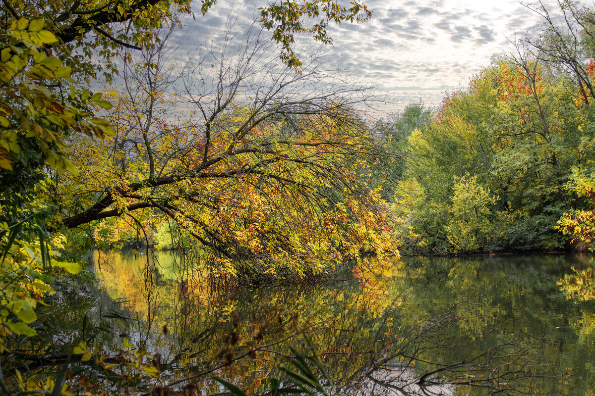 Осень. - Александр. AVG100 --- Осень. - Александр. AVG100 ---