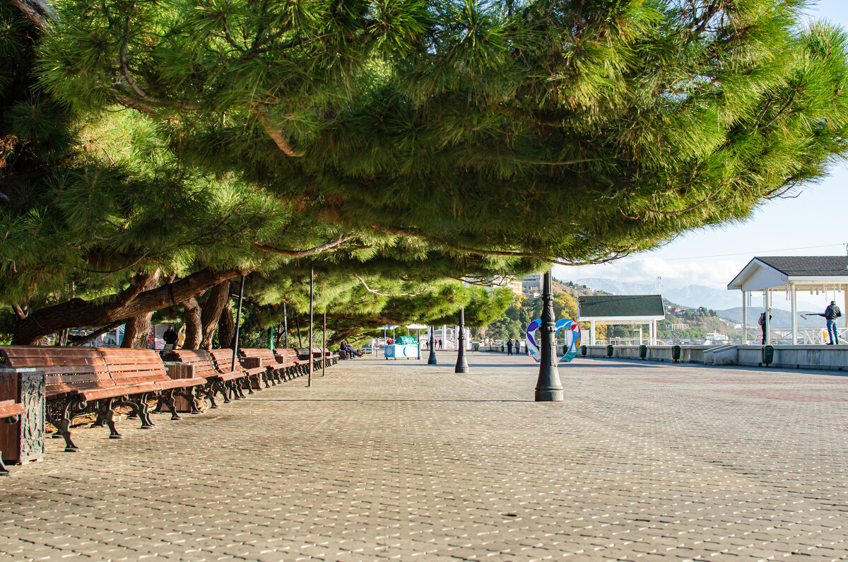 ... - Сергей Яковлев ... - Сергей Яковлев