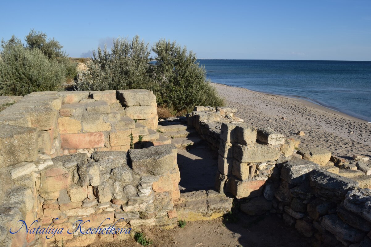 Природа Крыма - Amazing Cosmea