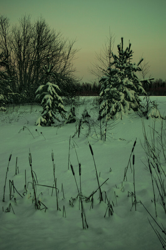 ЗИМА, ДЕКАБРЬ - мая деревня БАНИ - Владимир Максимов ЗИМА, ДЕКАБРЬ - мая деревня БАНИ - Владимир Максимов