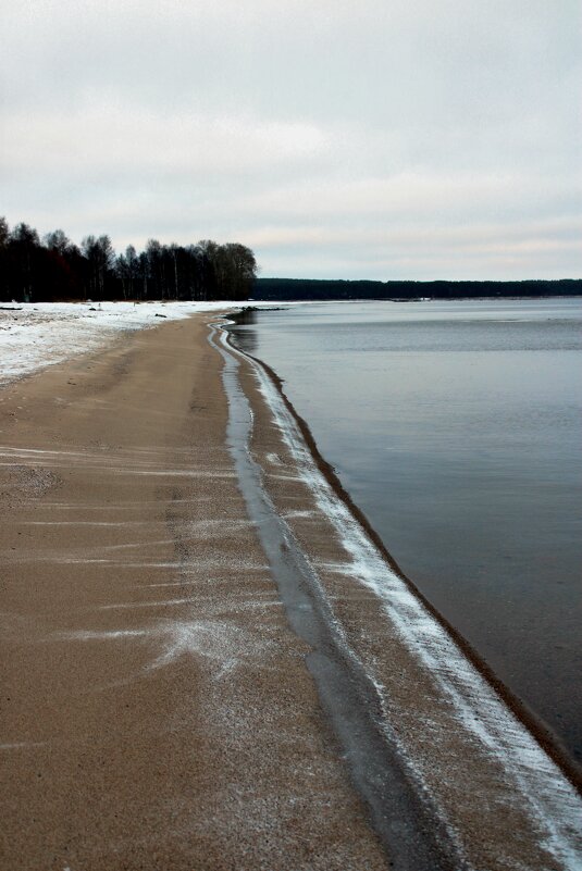 Берег Онежского озера0 - Мария 