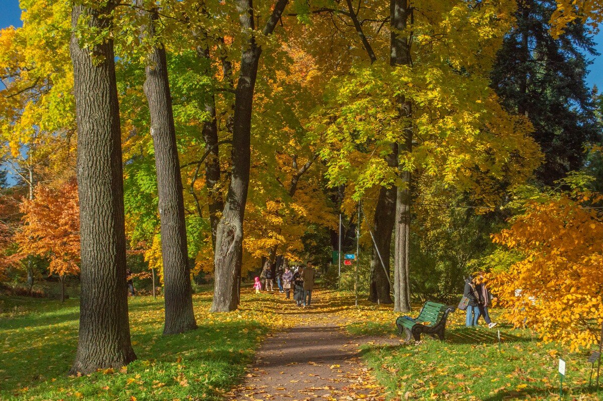 В осеннем саду................. - Юрий Цыплятников В осеннем саду................. - Юрий Цыплятников