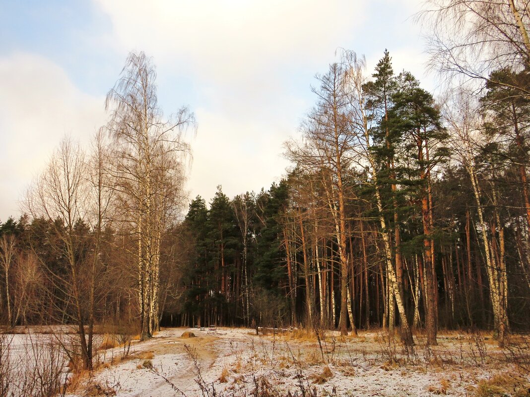 Такая зима... - Андрей Снегерёв Такая зима... - Андрей Снегерёв