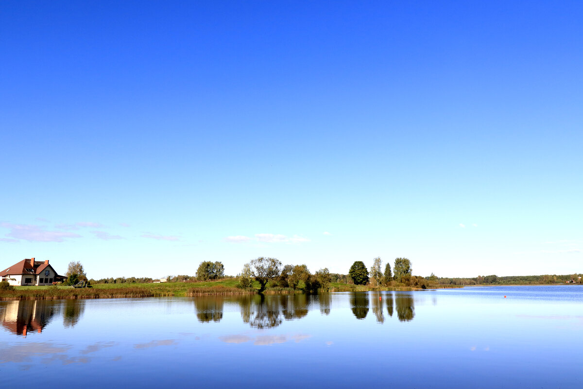 Тишина. - Николай Тишина. - Николай