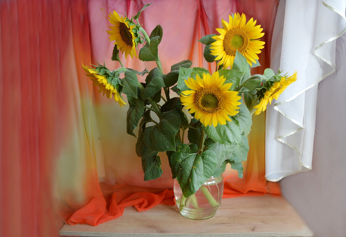 Подсолнухи - Надежда Куркина Подсолнухи - Надежда Куркина