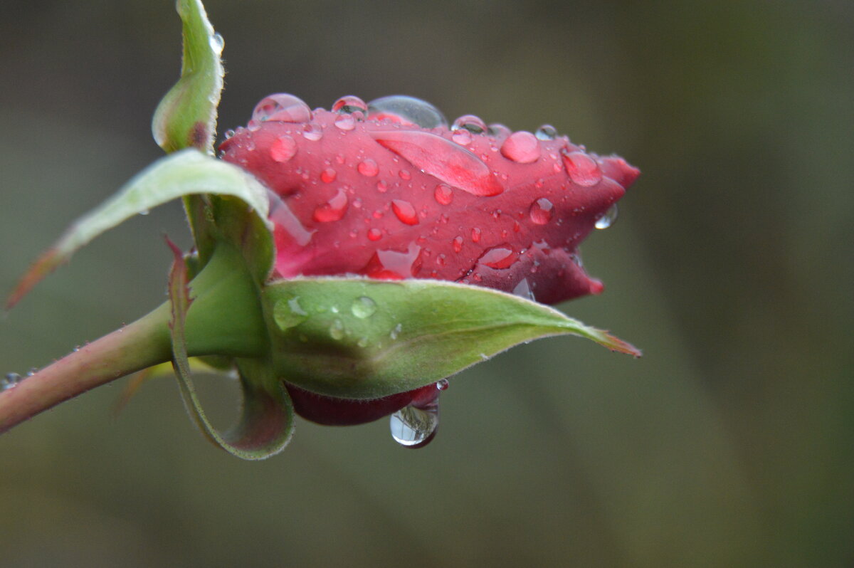 Завершение сезона, завтра обещают мороз... - Надежда Куркина Завершение сезона, завтра обещают мороз... - Надежда Куркина