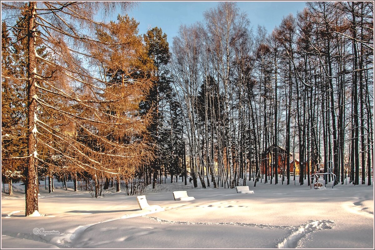 В зимнем парке - Aquarius - Сергей В зимнем парке - Aquarius - Сергей