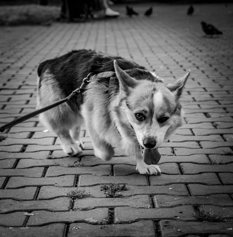 В парке - Андрей В парке - Андрей