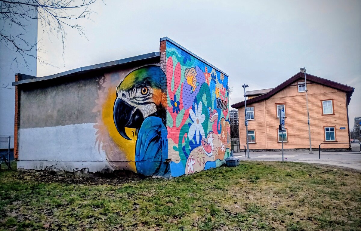 Мурал - Veera V