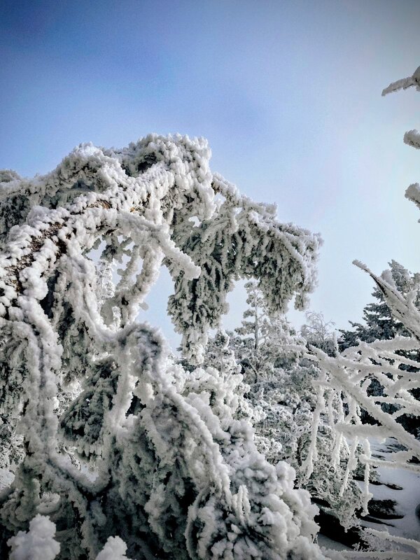 Притяжение гор,красота... - Георгиевич Притяжение гор,красота... - Георгиевич