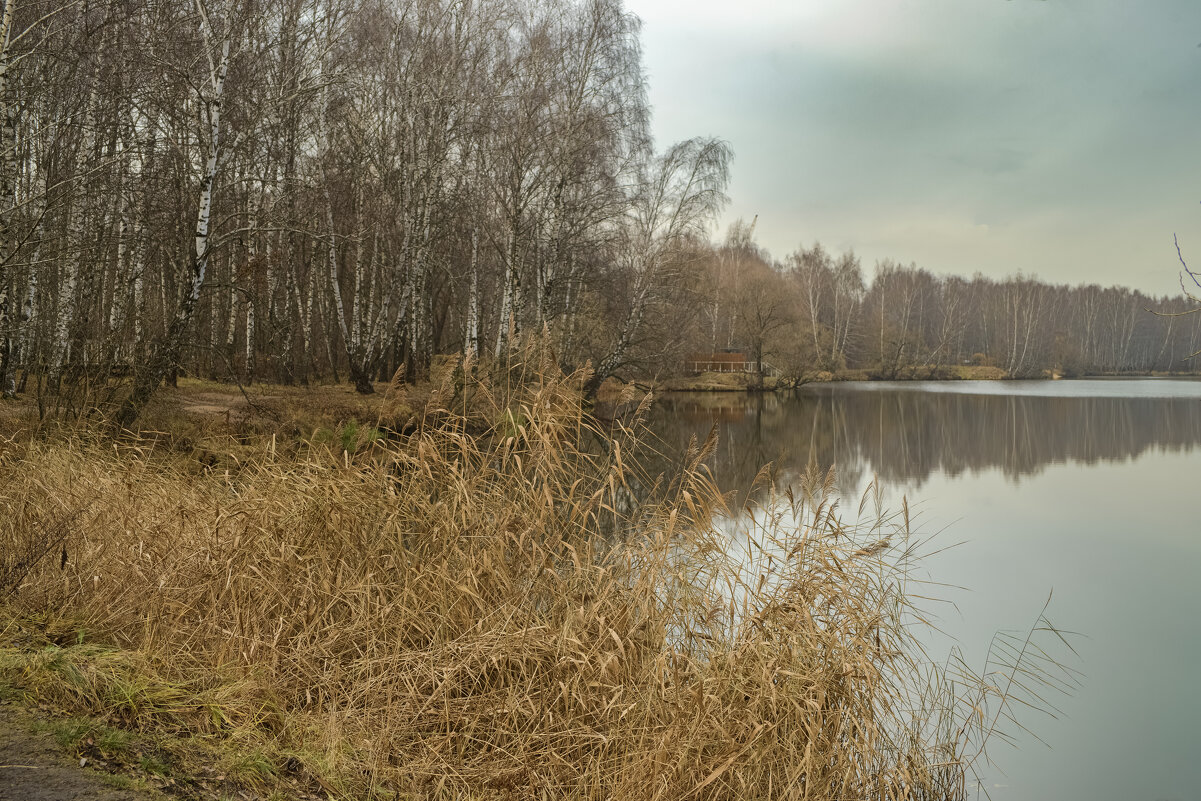 Декабрь на паузе. - Николай Декабрь на паузе. - Николай