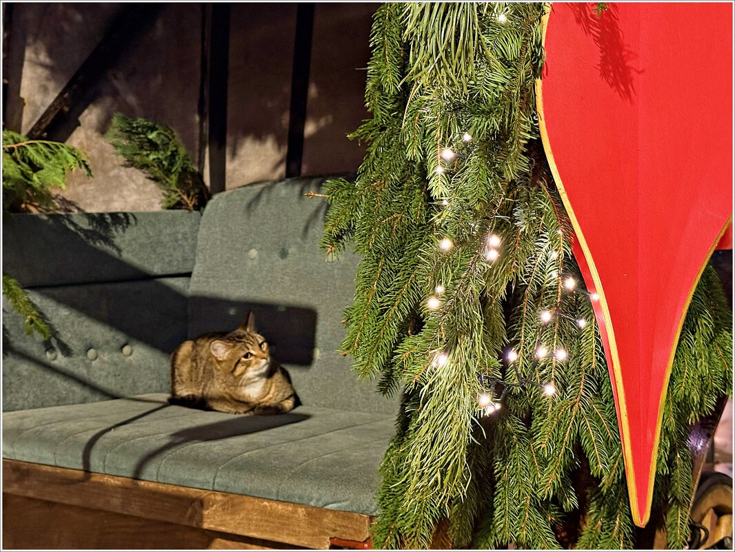 Хорошо устроился в фотозоне. - Валерия Комова Хорошо устроился в фотозоне. - Валерия Комова