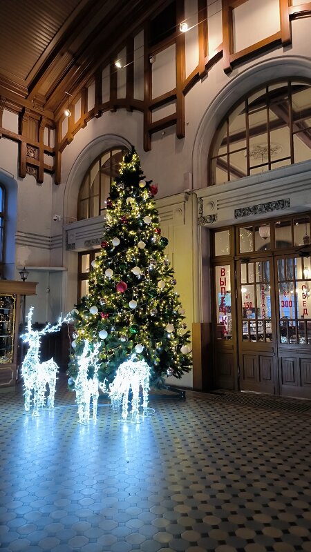 Ёлочка на Витебском вокзале. - Ольга Ёлочка на Витебском вокзале. - Ольга