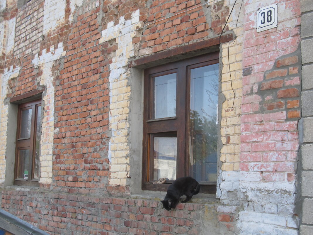 зарисовка - Елена Шаламова