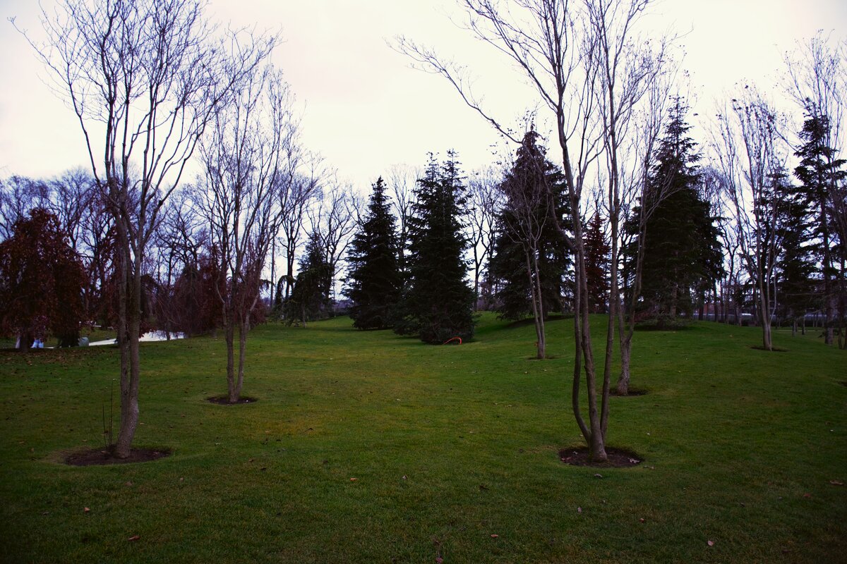 Парковый пейзаж. - Юрий Полторыхин.