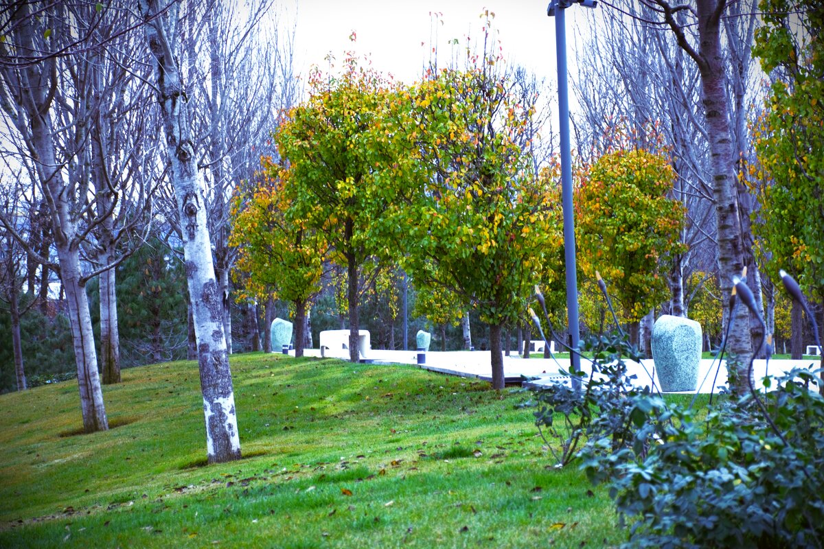 Середина декабря - Юрий Полторыхин. Середина декабря - Юрий Полторыхин.