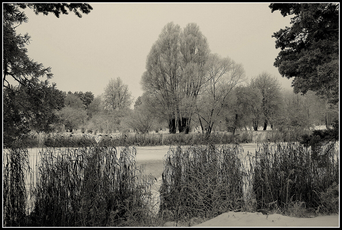 *** - Aleksandr Gal *** - Aleksandr Gal