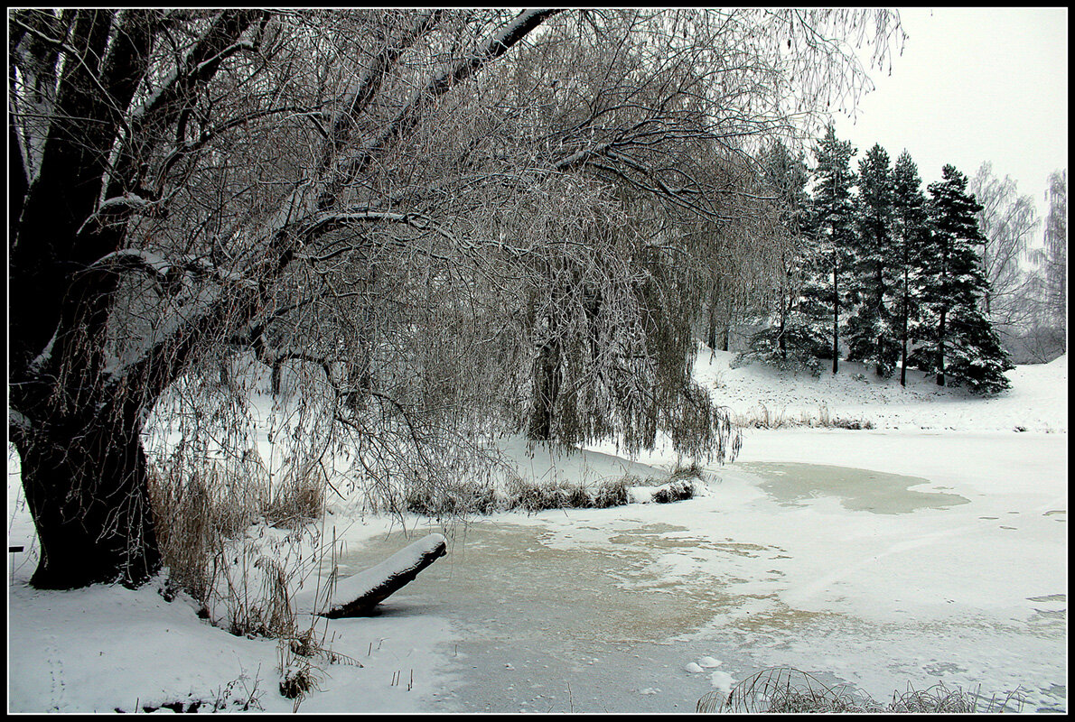 *** - Aleksandr Gal *** - Aleksandr Gal