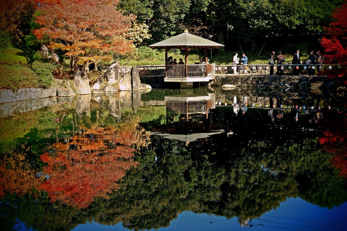 В осеннем саду Токио - Civetta *** В осеннем саду Токио - Civetta ***