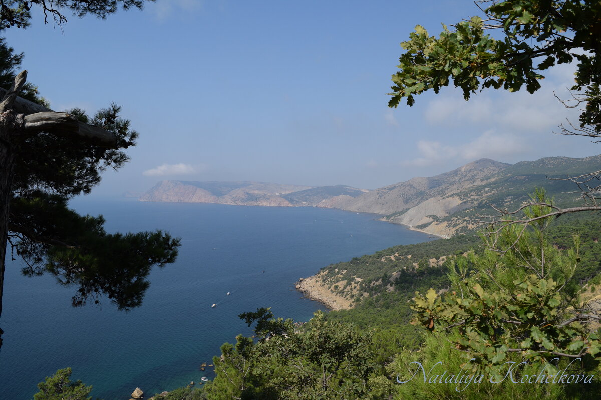 Природа Крыма - Amazing Cosmea Природа Крыма - Amazing Cosmea